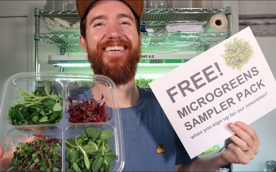 Free Microgreens Sampler Pack (how to and downloads)