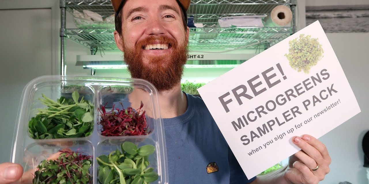 Free Microgreens Sampler Pack (how to and downloads)