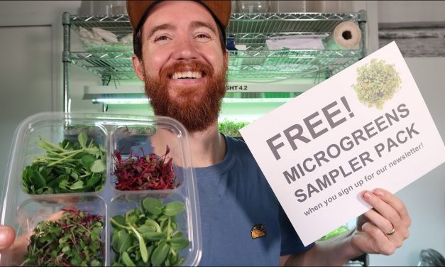 Free Microgreens Sampler Pack (how to and downloads)